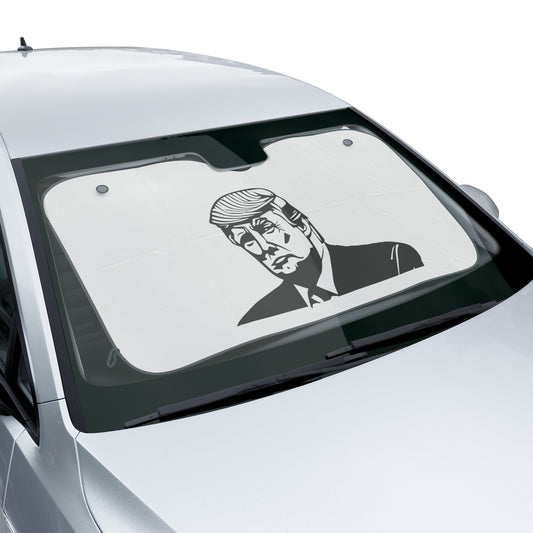 Car Sun Shades