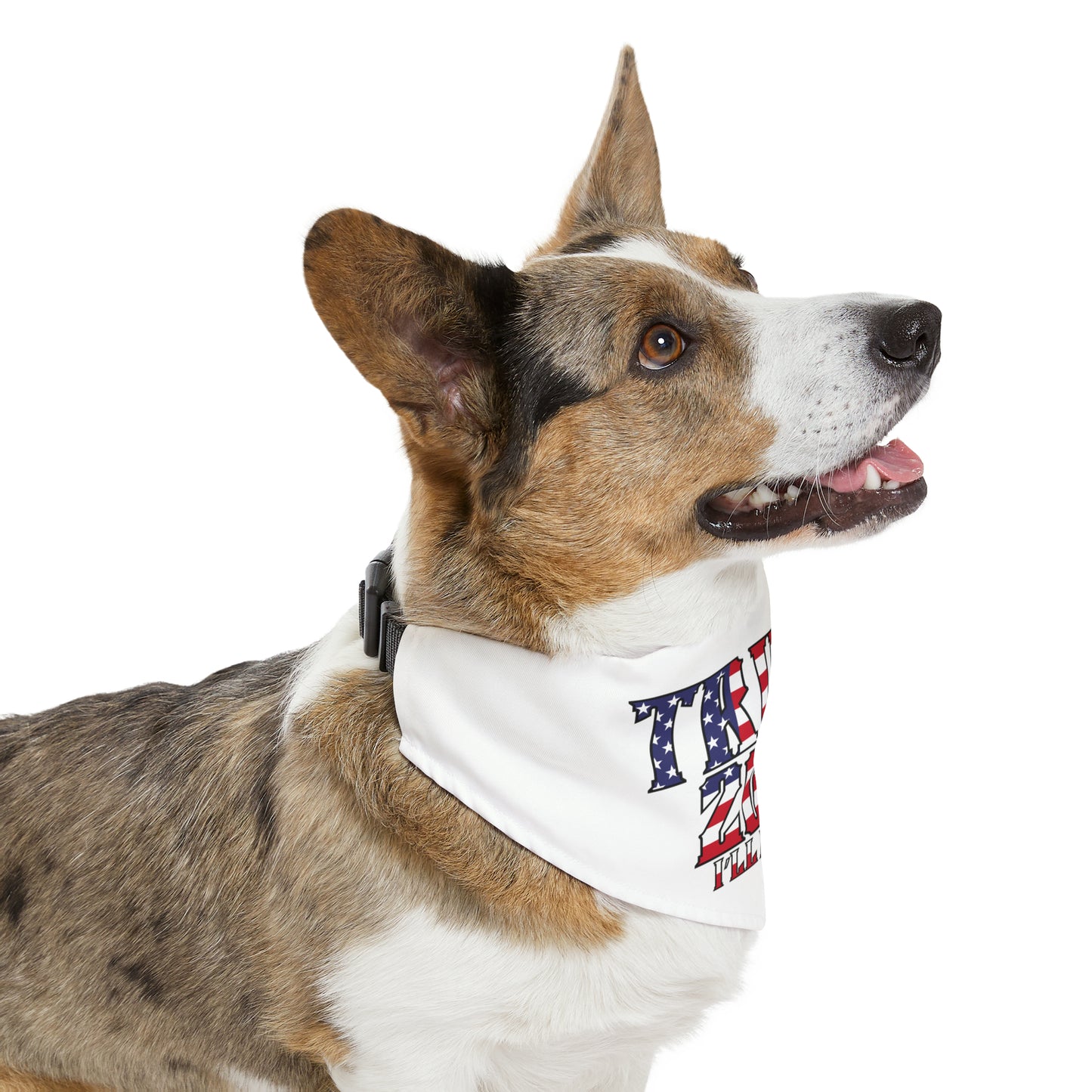 Pet Bandana Collar